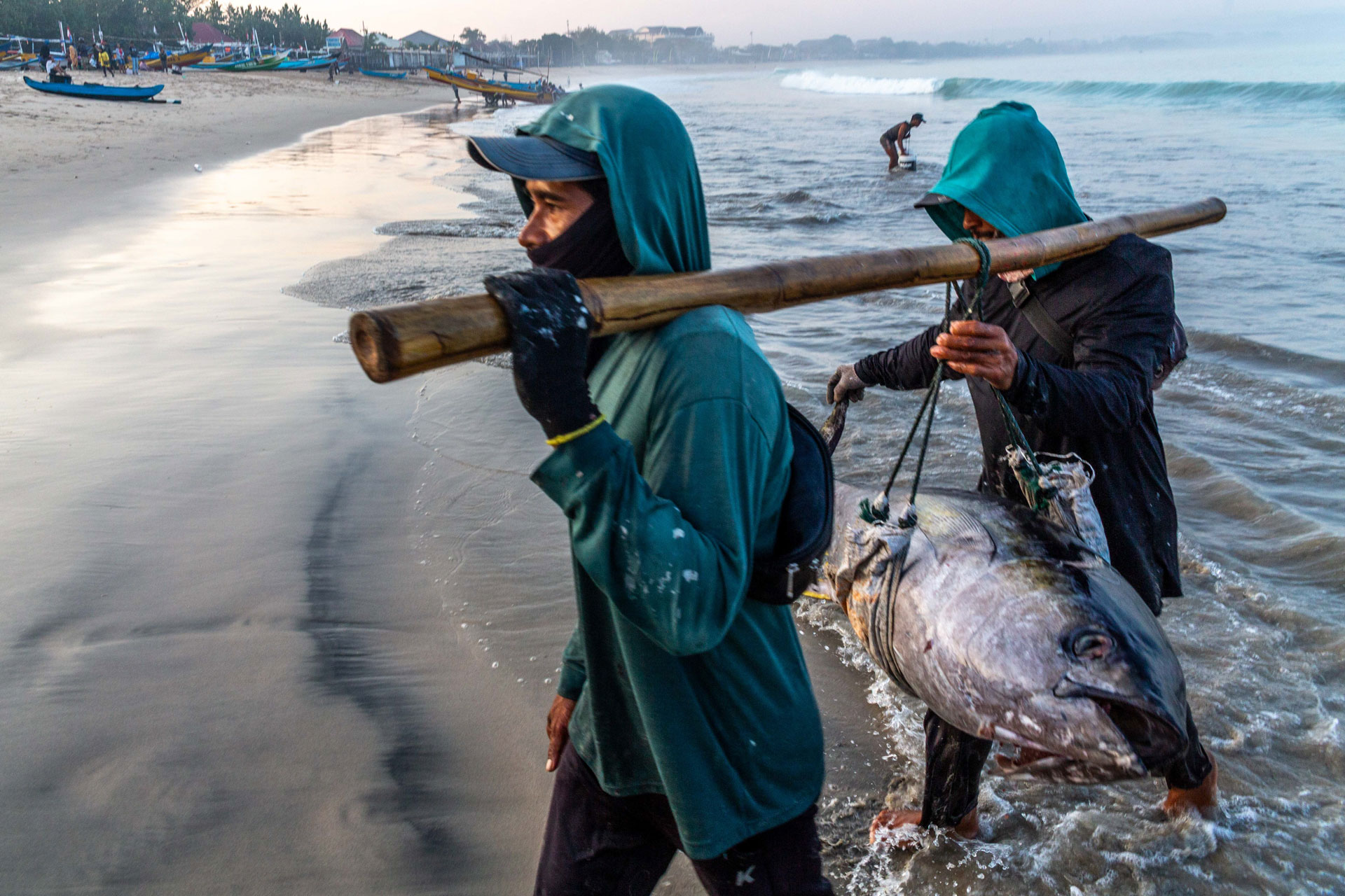 fotó: KINCSESKAMERA – Kocsány Kornél