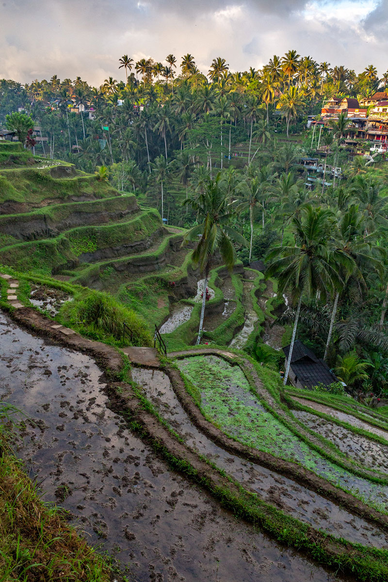 fotó: KINCSESKAMERA – Kocsány Kornél