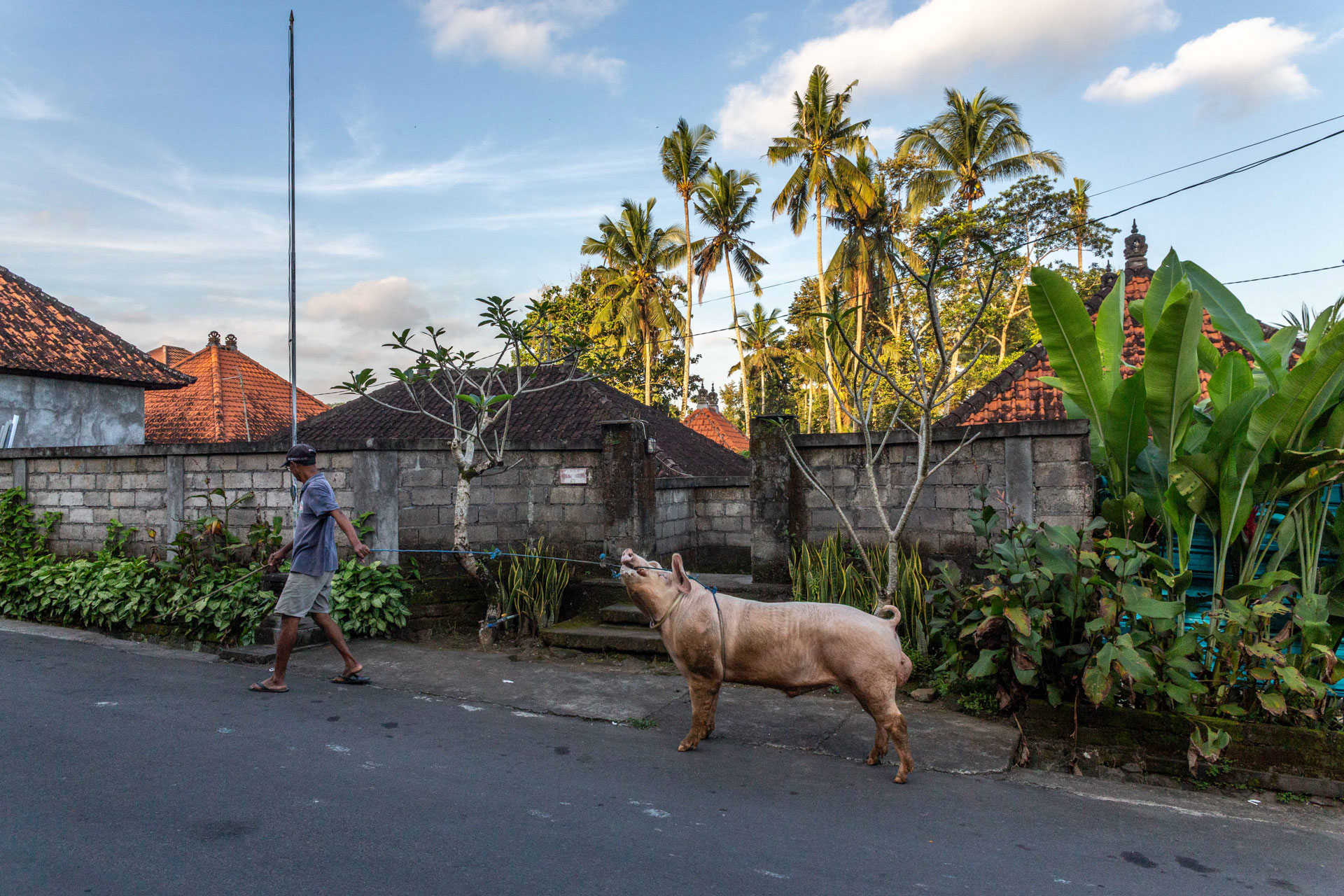 fotó: KINCSESKAMERA – Kocsány Kornél