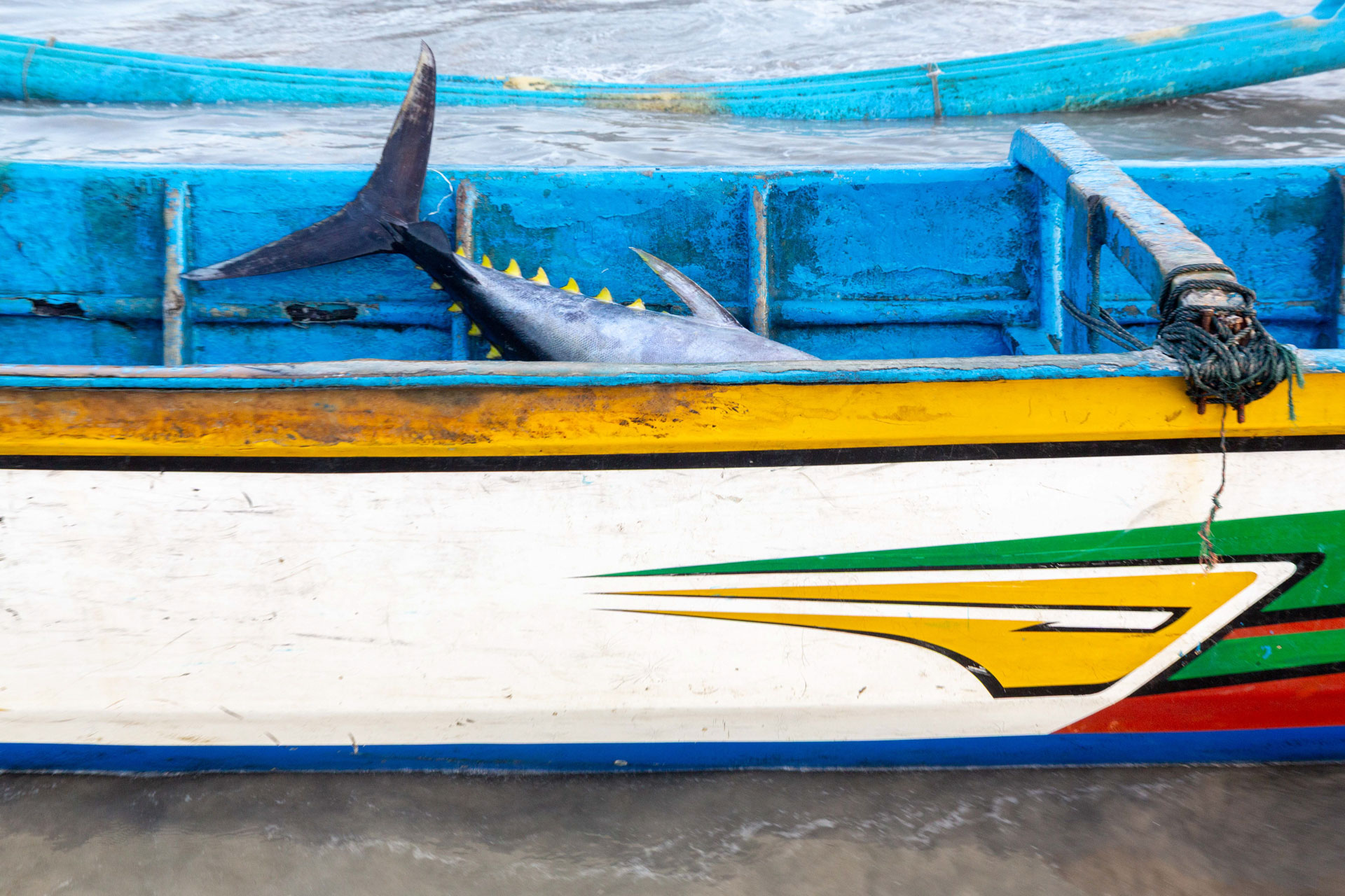 fotó: KINCSESKAMERA – Kocsány Kornél