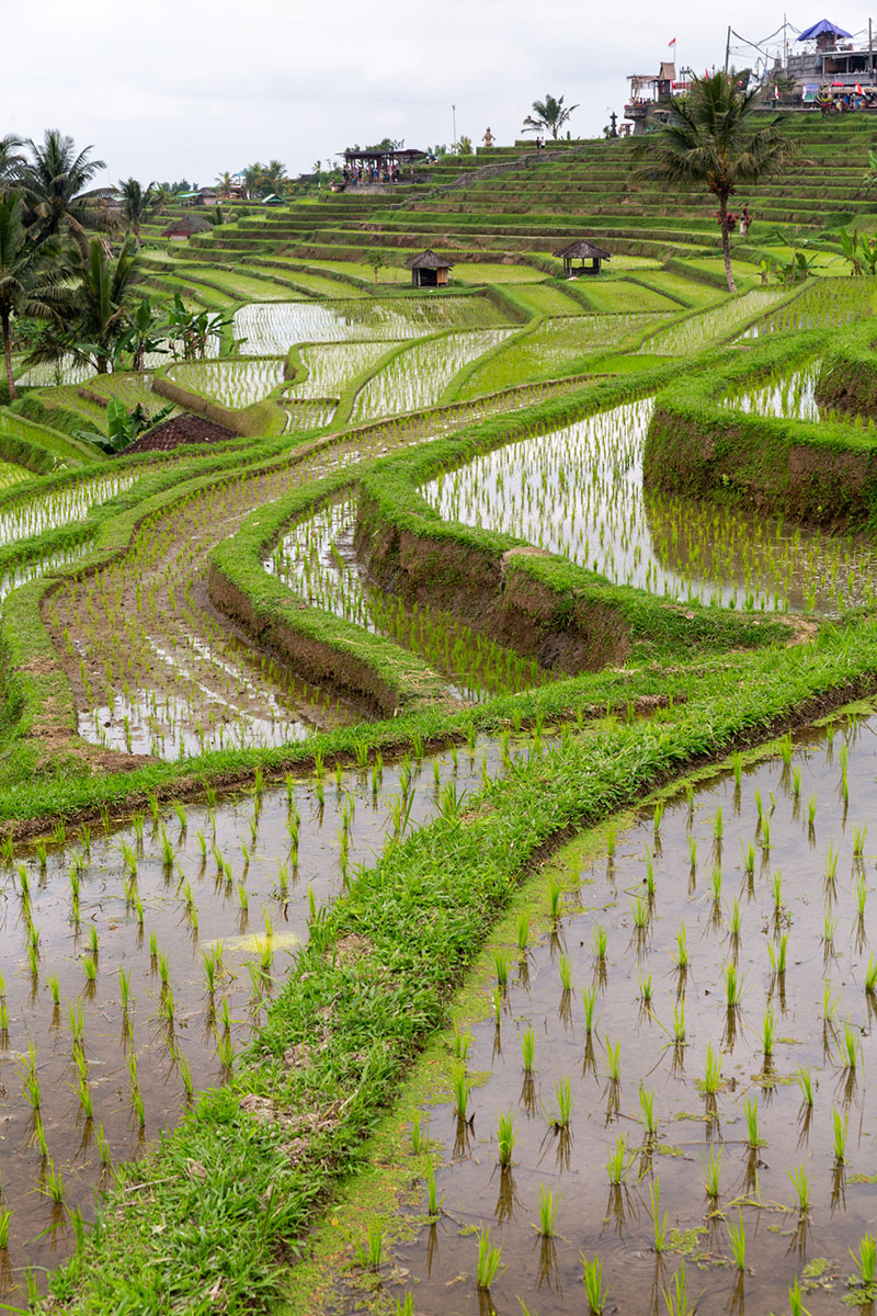 fotó: KINCSESKAMERA – Kocsány Kornél